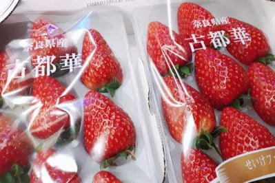 進口草莓